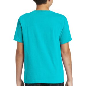 COMFORT COLORS  ®  Youth Ring Spun Tee. 9018