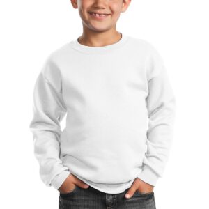 Port & Company ®  – Youth Core Fleece Crewneck Sweatshirt.  PC90Y